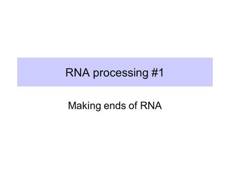 RNA processing #1 Making ends of RNA.
