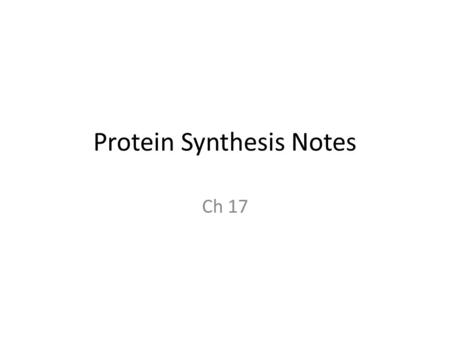 Protein Synthesis Notes