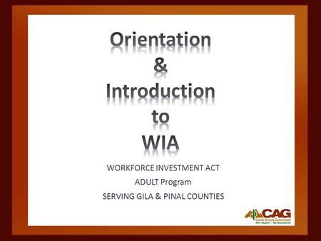 WORKFORCE INVESTMENT ACT ADULT Program SERVING GILA & PINAL COUNTIES.
