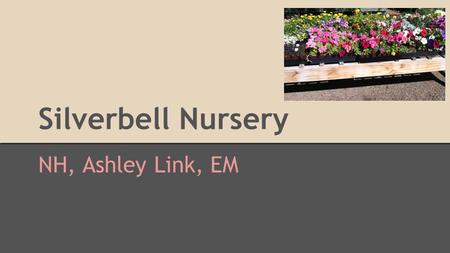Silverbell Nursery NH, Ashley Link, EM. Introduction Silverbell Nursery 2730 North Silverbell Road We chose this location because it is a mile away from.