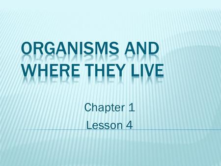 Chapter 1 Lesson 4. Students will:  Explore how all the living and nonliving parts of an environment interact.  Describe how the living organisms interact.