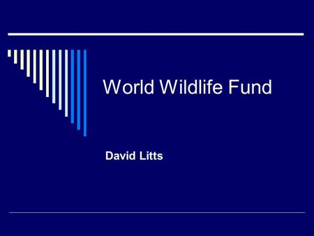 World Wildlife Fund David Litts.