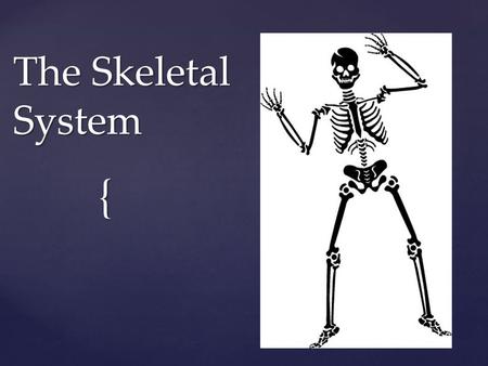 { The Skeletal System. Your skeletal system has many functions…  Provides support for the body  Protects internal tissues and organs from damage  Acts.