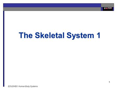 EDU2HBS Human Body Systems 1 The Skeletal System 1.