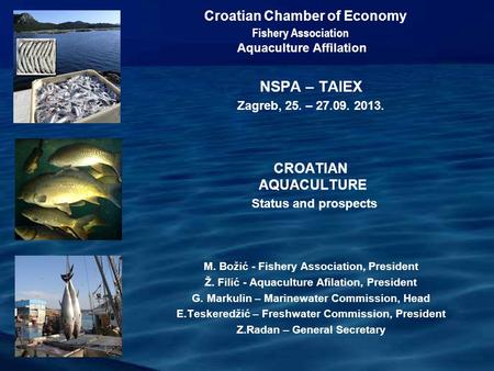 Croatian Chamber of Economy Fishery Association Aquaculture Affilation NSPA – TAIEX Zagreb, 25. – 27.09. 2013. CROATIAN AQUACULTURE Status and prospects.