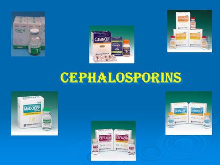 Cephalosporins.