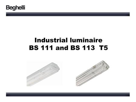 Industrial luminaire BS 111 and BS 113 T5.
