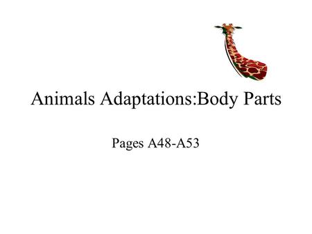 Animals Adaptations:Body Parts