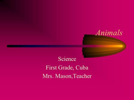 Animals Science First Grade, Cuba Mrs. Mason,Teacher.