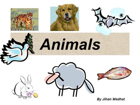 Animals By Jihan Medhat.