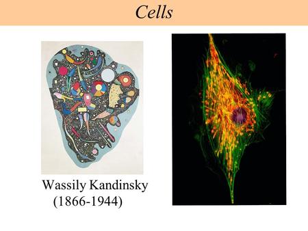 Wassily Kandinsky (1866-1944) Cells. Figure 4.1x Cell Theory: - all organisms are composed of cells - all cells come from other cells.