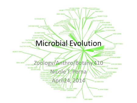 Microbial Evolution Zoology/Anthro/Botany 410 Nicole T. Perna April24, 2014.