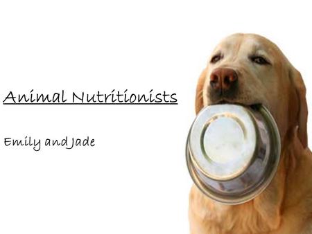Animal Nutritionists Emily and Jade. Training and Education Training depends on what kinds of animals you intend to work with; internships at zoos or.
