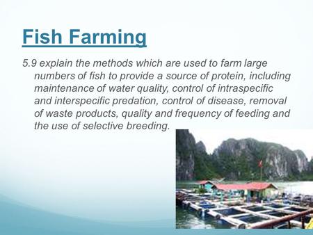 Fish Farming 5.9 explain the methods which are used to farm large numbers of fish to provide a source of protein, including maintenance of water quality,