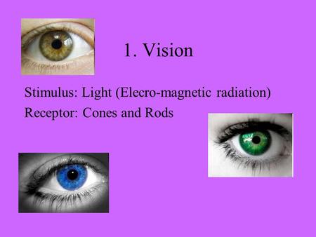 1. Vision Stimulus: Light (Elecro-magnetic radiation) Receptor: Cones and Rods.
