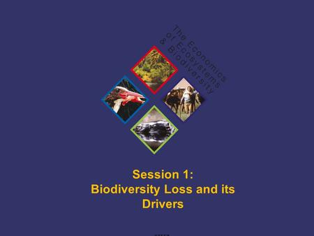 TEEB Training Session 1: Biodiversity Loss and its Drivers ©TEEB.