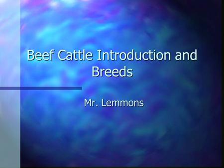 Beef Cattle Introduction and Breeds Mr. Lemmons. Characteristics of the Beef Industry –Grain-fed Beef – most widely produced and tends to be less expensive.