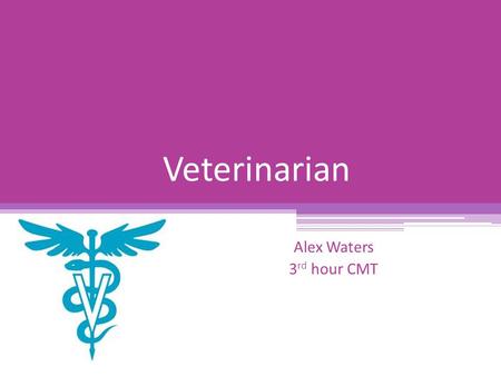 Veterinarian Alex Waters 3rd hour CMT.