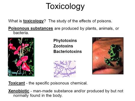 Toxicology What is toxicology? The study of the effects of poisons.
