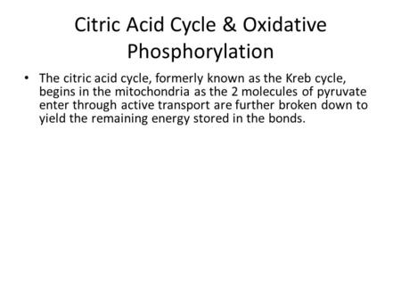 Citric Acid Cycle & Oxidative Phosphorylation The citric acid cycle, formerly known as the Kreb cycle, begins in the mitochondria as the 2 molecules of.