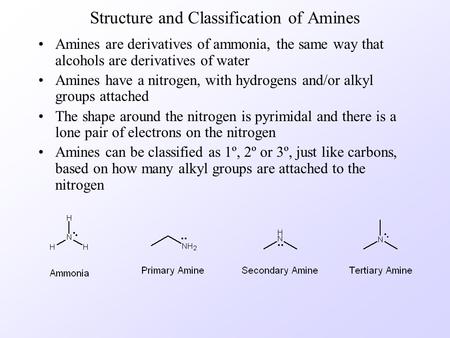 Structure and Classification of Amines Amines are derivatives of ammonia, the same way that alcohols are derivatives of water Amines have a nitrogen,