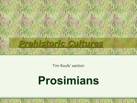 Prehistoric Cultures Tim Roufs’ section Prosimians.
