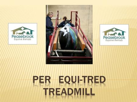 PER Equi-Tred Treadmill For most of our rehabilitation cases the inclusion of the Equi-Tred Treadmill in exercise programmes, is the best way to provide.