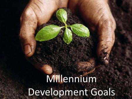 Millennium Development Goals. At the United Nations Millennium Summit in 2000, world leaders met to develop a plan to improve the quality of life in developing.