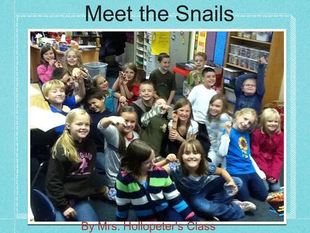 Meet the Snails By Mrs. Hollopeter's Class. Snail Structures By Wade, Troy, Alexis, Blake, and Jordayn They have 2 eyes. They have small antennas. They.