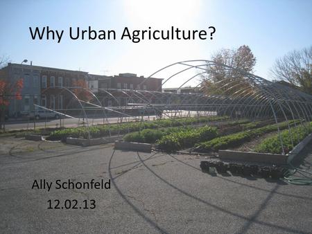 Why Urban Agriculture? Ally Schonfeld 12.02.13. My Story 2 nd year Masters Student – Agricultural and Extension Education with dual title International.