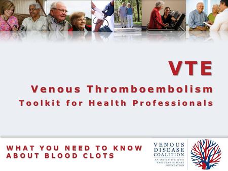 WHAT YOU NEED TO KNOW ABOUT BLOOD CLOTS VTE Venous Thromboembolism Toolkit for Health Professionals.