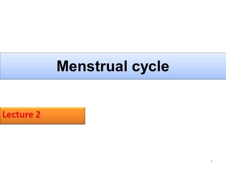 Menstrual cycle Lecture 2.
