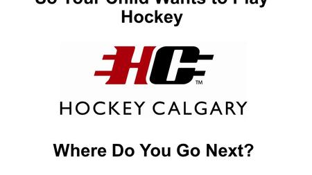 So Your Child Wants to Play Hockey Where Do You Go Next?