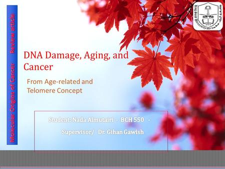 DNA Damage, Aging, and Cancer From Age-related and Telomere Concept.