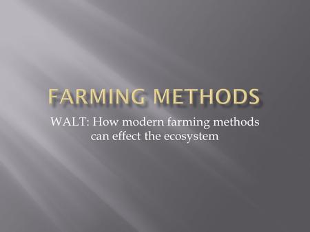 WALT: How modern farming methods can effect the ecosystem.