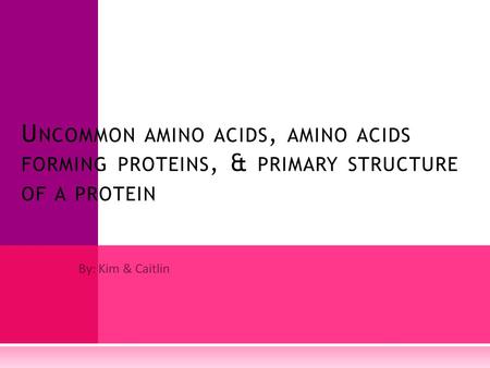 By: Kim & Caitlin U NCOMMON AMINO ACIDS, AMINO ACIDS FORMING PROTEINS, & PRIMARY STRUCTURE OF A PROTEIN.