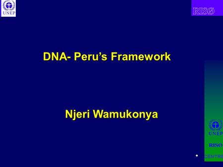 DNA- Peru’s Framework CENTRE Njeri Wamukonya. CENTRE Demonstrate with a real case what countries may wish to take into account when establishing DNA Aim.
