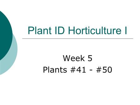 Plant ID Horticulture I Week 5 Plants #41 - #50 Ligustrum japonicum  Common name:  Japanese Privet  Evergreen Shrub  Height: 12’-18’  Spread: 15’-25’