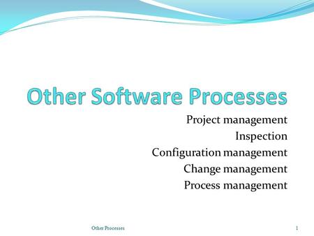 Project management Inspection Configuration management Change management Process management Other Processes1.