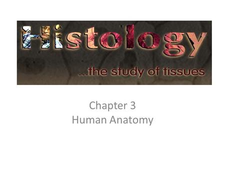 Chapter 3 Human Anatomy.