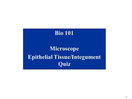 Bio 101 Microscope Epithelial Tissue/Integument Quiz