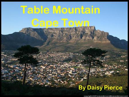 Table Mountain Cape Town By Daisy Pierce. Table Mountain Facts Table Mountain is a flat topped mountain overlooking Cape Town in South Africa It is 1,086.