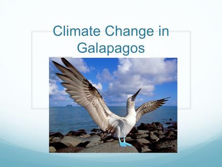 Climate Change in Galapagos. The effects of change in global climate and El Niño* events can be frequent and intense could severely impact ecosystem function.