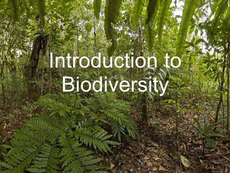 Introduction to Biodiversity