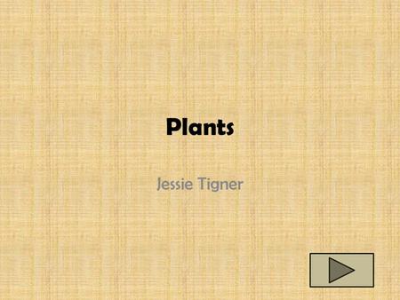 Plants Jessie Tigner. Content Area: Science Grade Level: 3 rd Summary: The purpose of this PowerPoint is to have the students be able to identify the.
