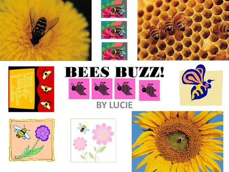 BEES BUZZ! BY LUCIE. Bees making honey The bees are putting honey in cells.