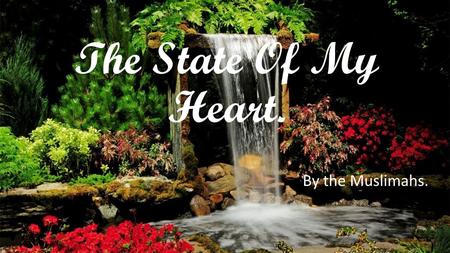 The State Of My Heart. By the Muslimahs.. ‘A thousand mile journey begins with a single step’ -Lao Tzu.