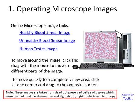 1. Operating Microscope Images Online Microscope Image Links: Healthy Blood Smear Image Unhealthy Blood Smear Image To move around the image, click and.