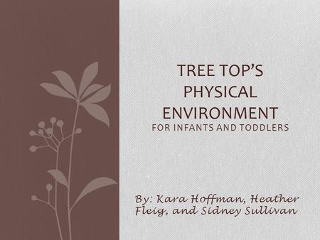 FOR INFANTS AND TODDLERS By: Kara Hoffman, Heather Fleig, and Sidney Sullivan TREE TOP’S PHYSICAL ENVIRONMENT.