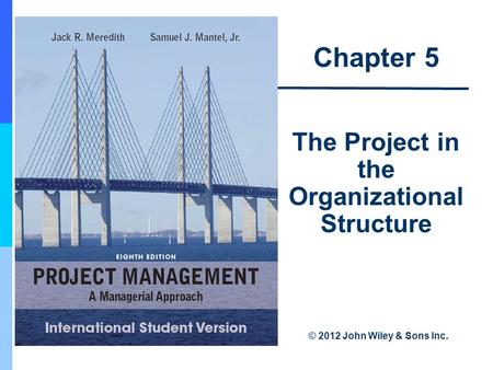 The Project in the Organizational Structure